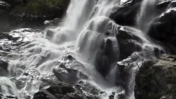 Divoká horská řeka. Divokost Clean, čistá voda v horské řece. — Stock video