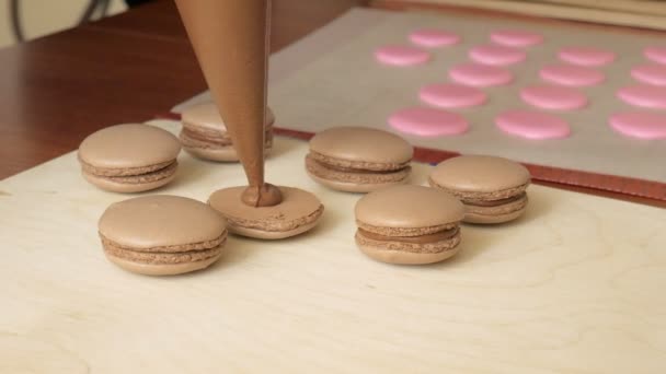 Chef-kok van een macaron waartussen is een crème maken Cook maakt prachtige desserts met hun eigen handen. — Stockvideo