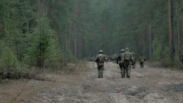 Soldaten in camouflage met bestrijding wapens maken hun weg buiten het forest, met het doel van het vangen, het militaire concept — Stockvideo