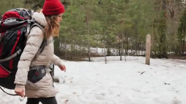 Una atractiva joven con un sombrero rojo camina por el bosque a principios de primavera con una gran mochila turística — Vídeo de stock