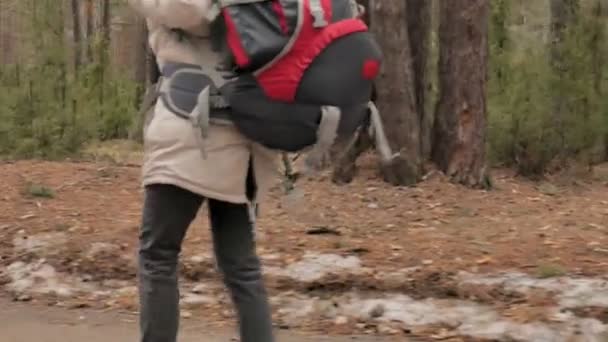 Uma jovem atraente em um chapéu vermelho caminha pela floresta no início da primavera com uma grande mochila turística — Vídeo de Stock