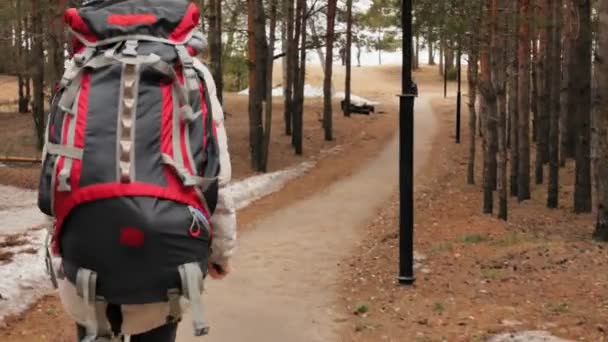 Una atractiva joven con un sombrero rojo camina por el bosque a principios de primavera con una gran mochila turística — Vídeo de stock