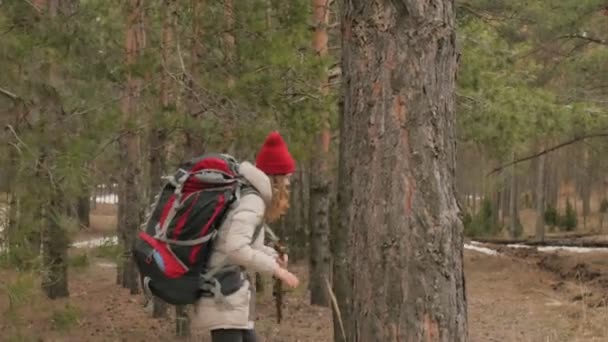 Eine attraktive junge Frau mit rotem Hut spaziert im zeitigen Frühling mit einem großen Touristenrucksack durch den Wald — Stockvideo