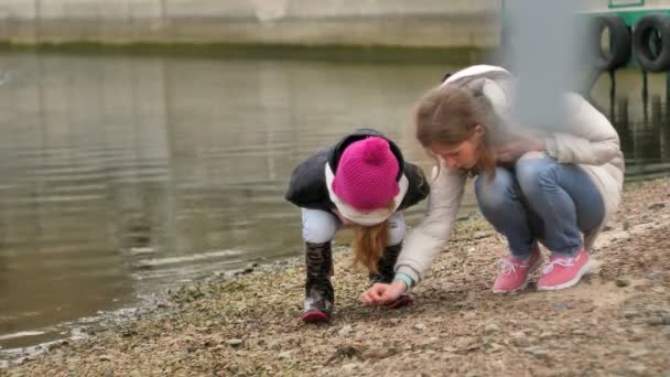 Mutter und kleine Tochter spazieren am steinigen Strand entlang, sammeln Muscheln ein und werfen Steine ins Wasser — Stockvideo