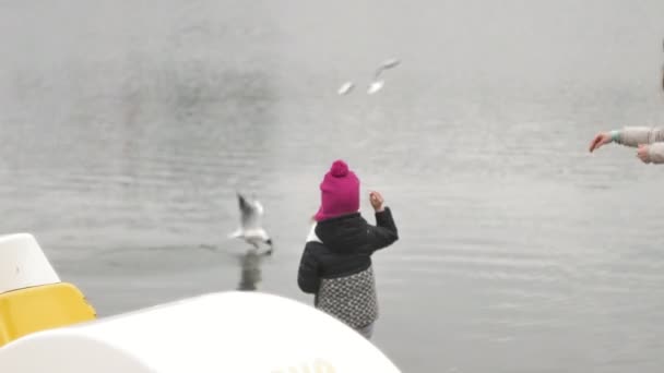 Boldog és gyönyörű anya és lánya etetés sirályok a strandon, a folyó partján — Stock videók