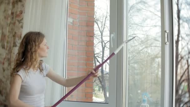 Chica atractiva lava ventanas en casa. Para limpiar la casa . — Vídeo de stock