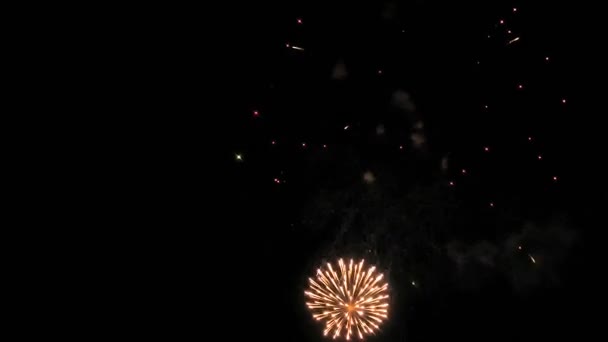 Fuegos artificiales iluminan el cielo con una pantalla deslumbrante — Vídeos de Stock