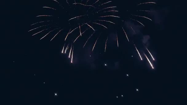 Fuegos artificiales iluminan el cielo con una pantalla deslumbrante — Vídeos de Stock