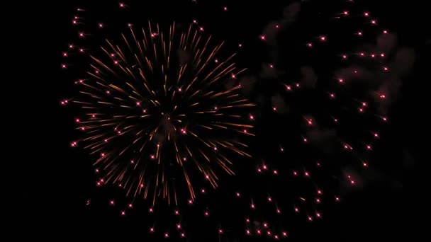 Feuerwerk erhellt den Himmel mit blendender Show — Stockvideo