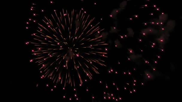 Fogos de artifício iluminam o céu com uma exibição deslumbrante — Vídeo de Stock