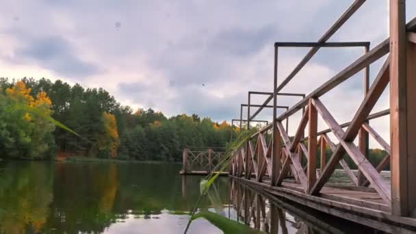 Timelapse sur le lac dans une pinède . — Video