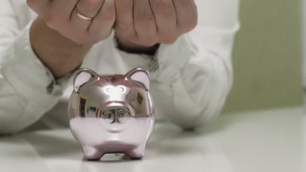 Piggy Bank cochon rose. Investissements et affaires. L'homme et l'argent — Video