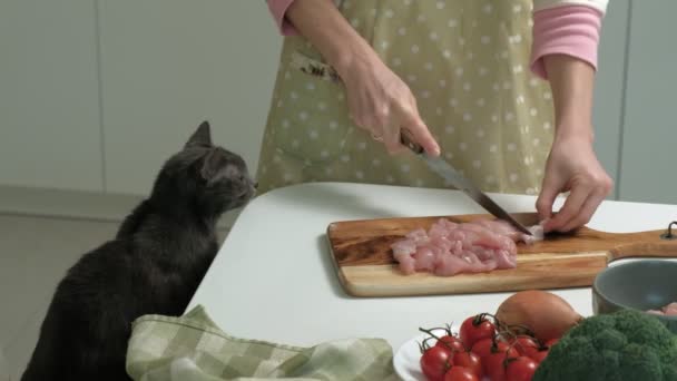 Découpe de viande sur la planche . — Video