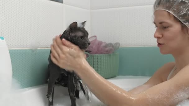 Žena koupe kočku v koupelně. — Stock video