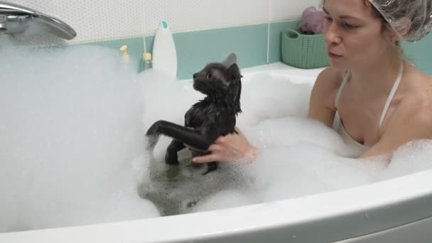 Una mujer baña a un gato en el baño . — Vídeo de stock