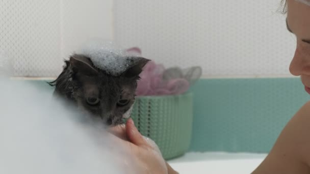 Une femme baigne un chat dans la salle de bain . — Video