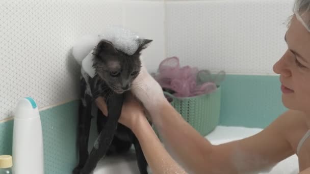 Une femme baigne un chat dans la salle de bain . — Video