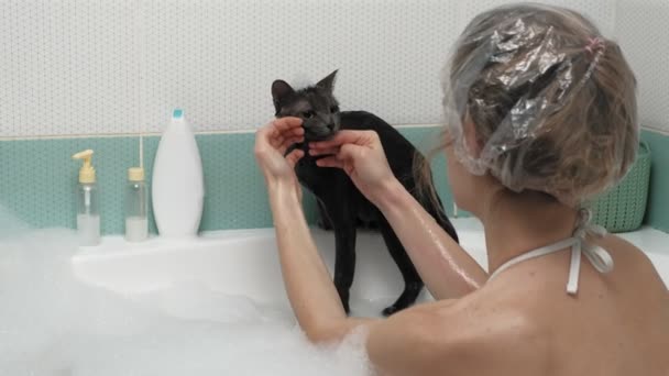 Una mujer baña a un gato en el baño . — Vídeo de stock
