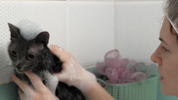 En kvinna badar en katt i badrummet. — Stockvideo