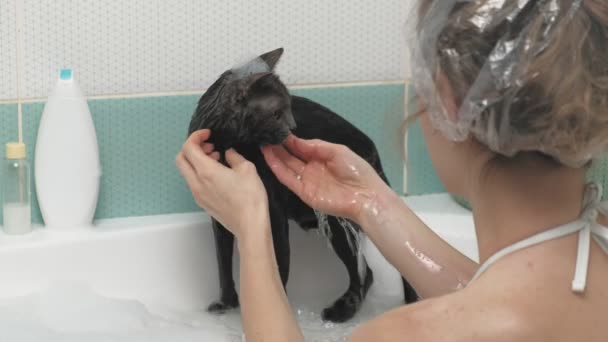 Een vrouw baadt een kat in de badkamer. — Stockvideo