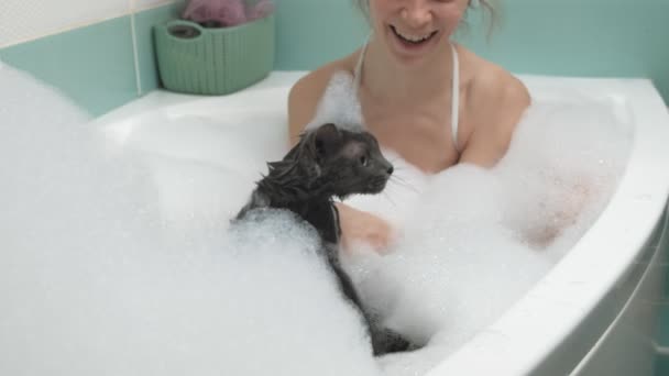 Une femme baigne un chat dans la salle de bain . — Video