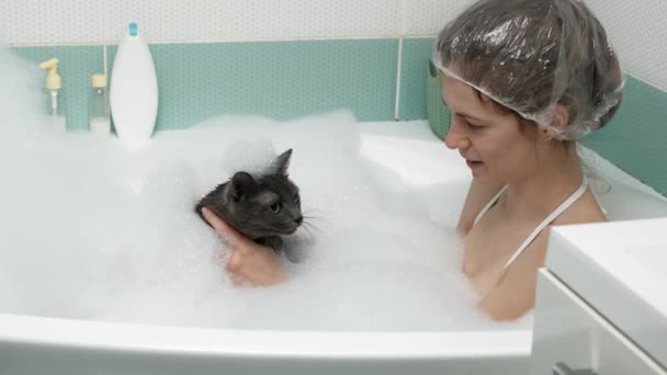 A woman bathes a cat in the bathroom. — Stock Video