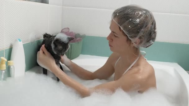 Bir kadın tuvalette bir kediyi yıkıyor.. — Stok video