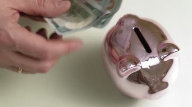 Domuz kumbarası pembe domuz. Yatırımlar ve iş. İnsan ve para