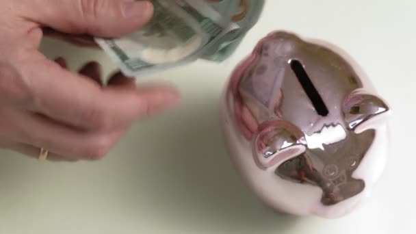 Piggy Bank růžové prase. Investice a obchod. Muž a peníze — Stock video