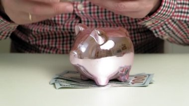 Domuz kumbarası pembe domuz. Yatırımlar ve iş. İnsan ve para