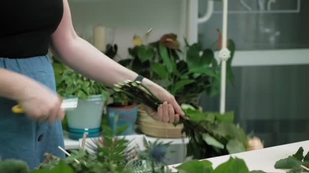 플로 리스트의 작품이지. 꽃다발을 만드는 모습 — 비디오