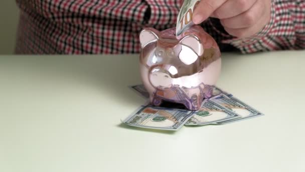 돼지 돼지같은 은행 핑크 돼지. 투자와 사업. 사람 과 돈 — 비디오