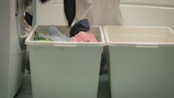 Μια γυναίκα βάζει πλυντήριο πριν το πλύσιμο.. — Αρχείο Βίντεο