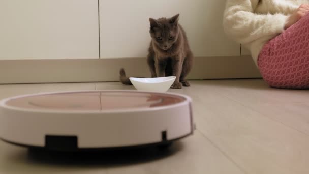 Robot aspirateur collecte les ordures dans la cuisine. Technologie moderne — Video