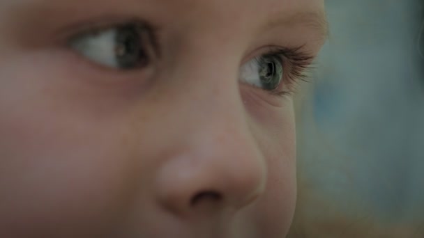 소녀 미취학 아동 이 컴퓨터 태블릿을 사용하다. — 비디오