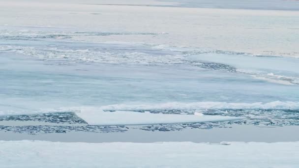 Ghiaccio bianco galleggia sul fiume — Video Stock