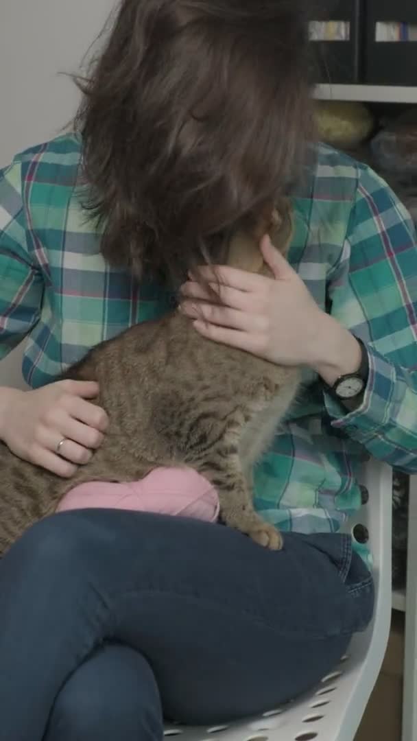 Μια νεαρή γυναίκα παίζει με μια γάτα. κατακόρυφο βίντεο — Αρχείο Βίντεο
