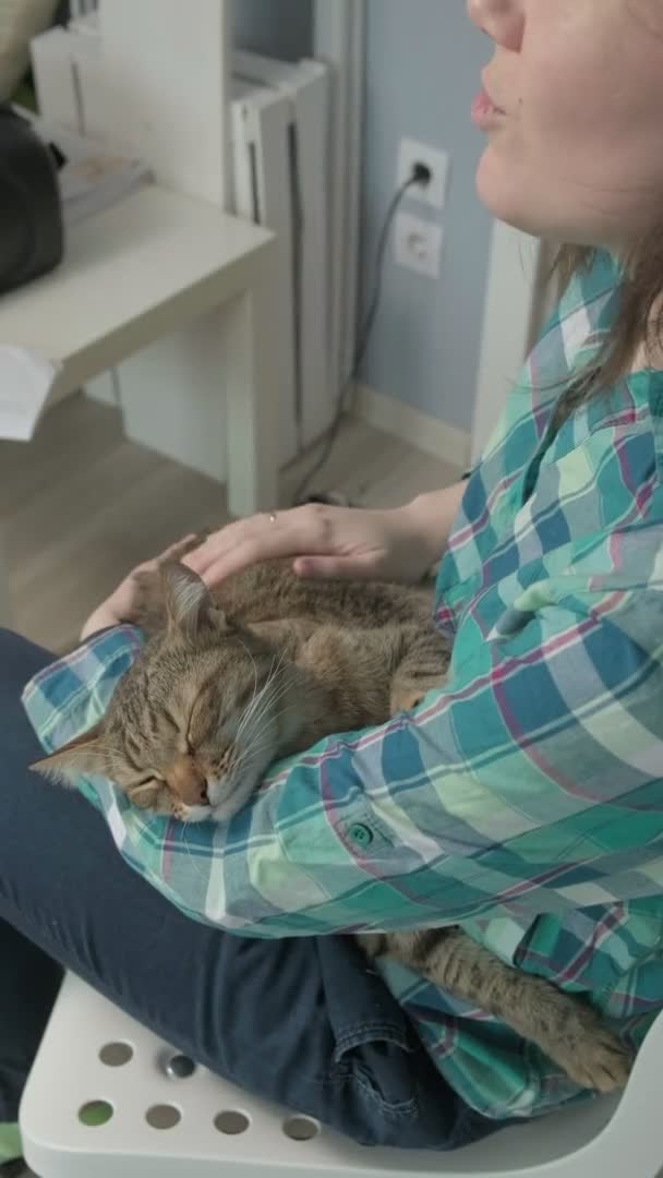 A fiatal nő egy macskával játszik. függőleges videó — Stock videók