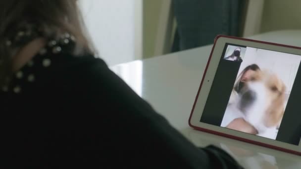 İki genç kadın tıbbi maskeli video bağlantısıyla konuşuyor. — Stok video