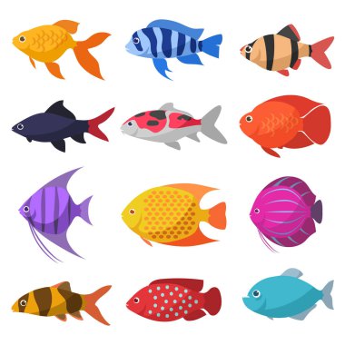 İzole nehir balıklar