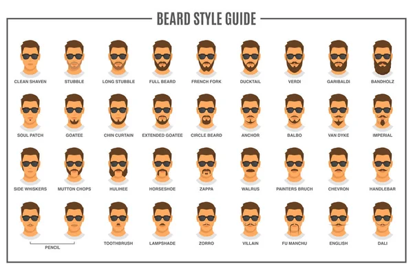 Beard stilar guide — Stock vektor