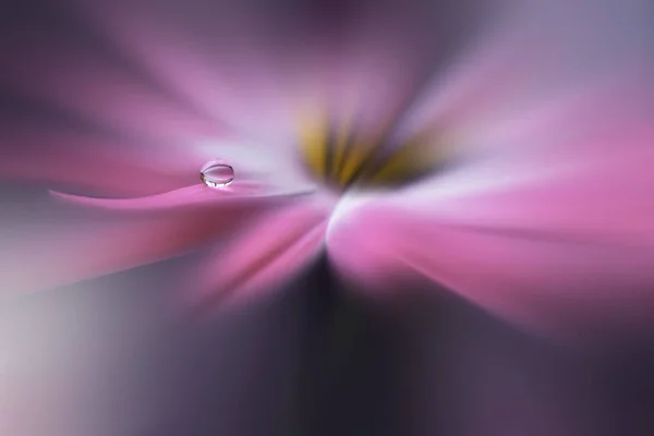 Fotografie macro abstractă cu picături de apă. Design fantezie florală . — Fotografie, imagine de stoc