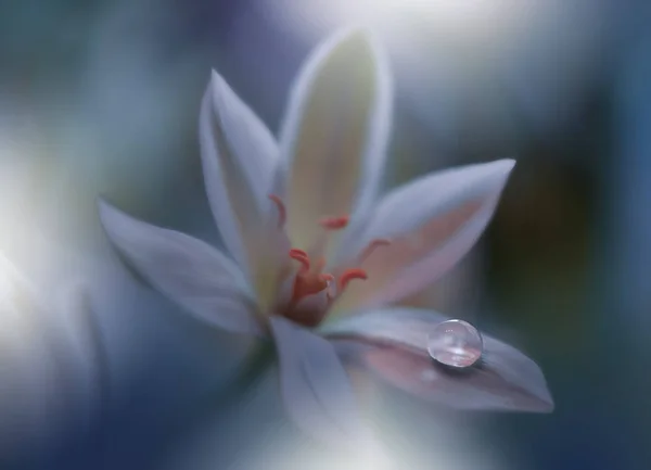 Güzel Yeşil Doğa Arkaplanı Çiçek Tasarımı Soyut Makro Fotoğrafı Beyaz — Stok fotoğraf