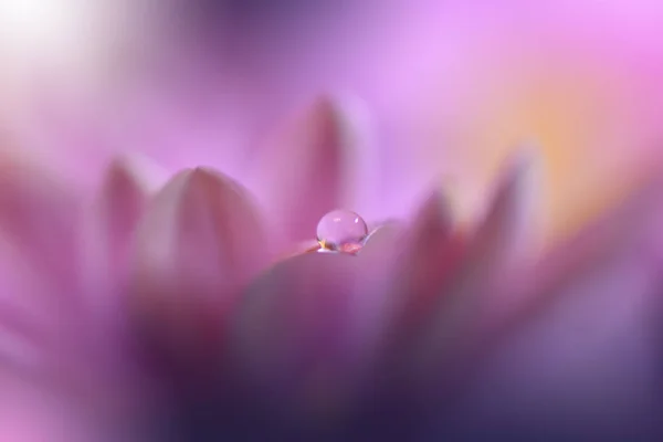 Vacker Rosa Natur Bakgrund Blommig Konst Designabstrakt Makrofotografier Gerbera Flower — Stockfoto
