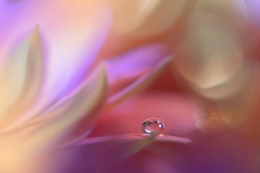 Güzel Pembe Doğa Arkaplanı. Çiçek Tasarımı. Soyut Makro Fotoğrafı. Daisy Çiçeği. Pastel Çiçekleri. Violet Arkaplan. Yaratıcı Sanatsal Duvar Kağıdı. Düğün Davetiyesi. Kutlama, Aşk. Mutlu Noeller..