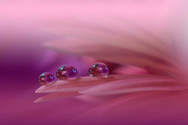 Gyönyörű Rózsaszín Természet Háttér Floral Art Design Absztrakt Macro Photography — Stock Fotó
