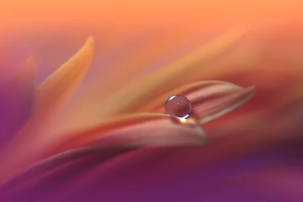 Vakker Natur Bakgrunn Blomsterkunst Design Abstrakt Makromotografi Orange Daisy Flower – stockfoto
