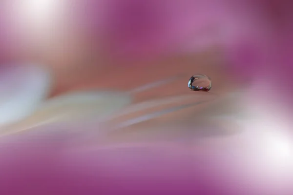 아름다운 자연의 매크로 White Daisy Flower Pustel Flowers Purple Background — 스톡 사진