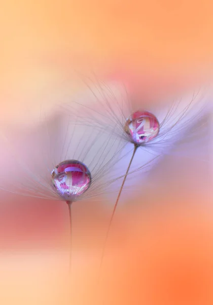 Gyönyörű Természet Háttér Floral Art Design Absztrakt Makro Photography Pasztell — Stock Fotó