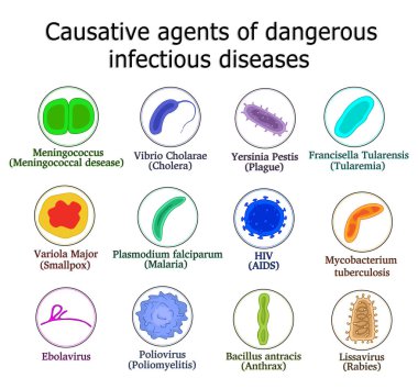 Bacteria and viruses clipart